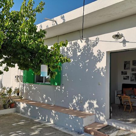 Maison De Village Au Calme - Alonia Village House Psinthos Dış mekan fotoğraf