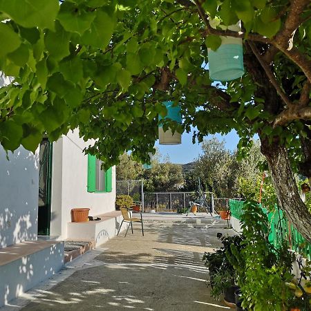 Maison De Village Au Calme - Alonia Village House Psinthos Dış mekan fotoğraf