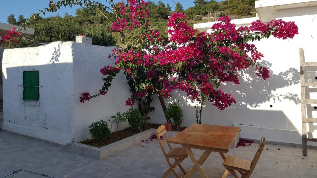 Maison De Village Au Calme - Alonia Village House Psinthos Dış mekan fotoğraf