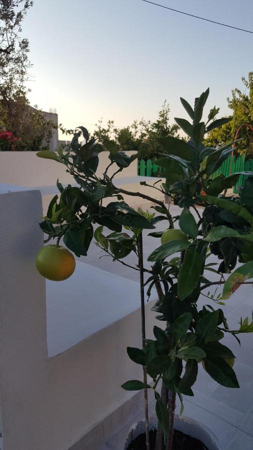 Maison De Village Au Calme - Alonia Village House Psinthos Dış mekan fotoğraf